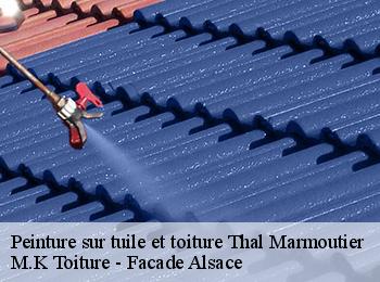 Peinture sur tuile et toiture  thal-marmoutier-67440 M.K Toiture - Facade Alsace