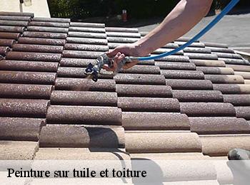 Peinture sur tuile et toiture