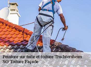 Peinture sur tuile et toiture