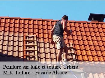 Peinture sur tuile et toiture  67220