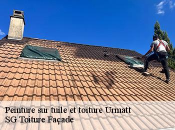 Peinture sur tuile et toiture  67280