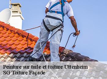 Peinture sur tuile et toiture