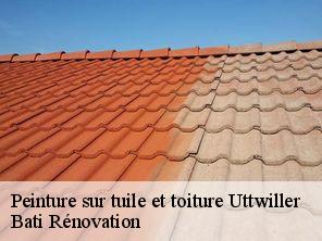 Peinture sur tuile et toiture  uttwiller-67330 Bati Rénovation
