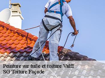 Peinture sur tuile et toiture
