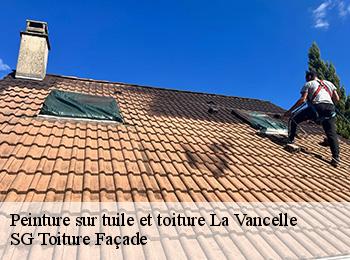 Peinture sur tuile et toiture 67730