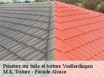 Peinture sur tuile et toiture