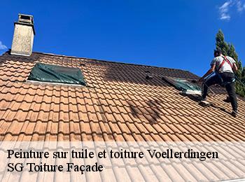 Peinture sur tuile et toiture 67430