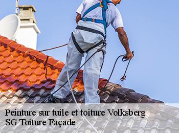 Peinture sur tuile et toiture