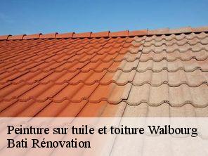 Peinture sur tuile et toiture walbourg-67360 Bati Rénovation