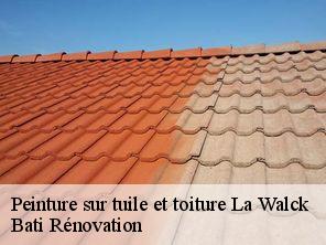 Peinture sur tuile et toiture  la-walck-67350 Bati Rénovation