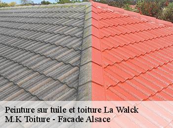 Peinture sur tuile et toiture