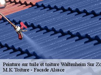 Peinture sur tuile et toiture  waltenheim-sur-zorn-67670 M.K Toiture - Facade Alsace