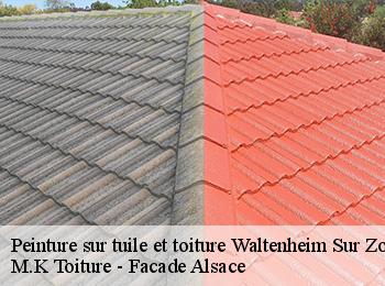 Peinture sur tuile et toiture