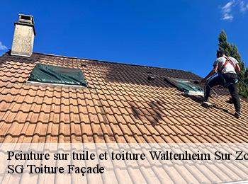 Peinture sur tuile et toiture  67670