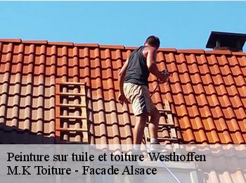 Peinture sur tuile et toiture  67310
