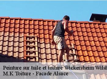 Peinture sur tuile et toiture  67270
