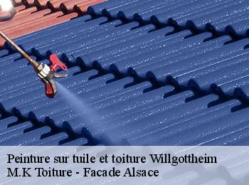 Peinture sur tuile et toiture  willgottheim-67370 M.K Toiture - Facade Alsace