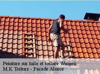 Peinture sur tuile et toiture  67510