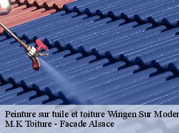 Peinture sur tuile et toiture  wingen-sur-moder-67290 M.K Toiture - Facade Alsace