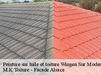 Peinture sur tuile et toiture