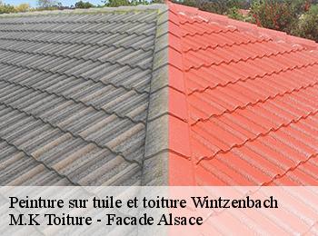 Peinture sur tuile et toiture