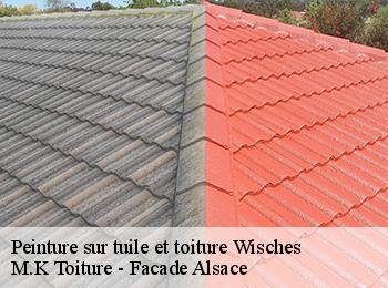 Peinture sur tuile et toiture