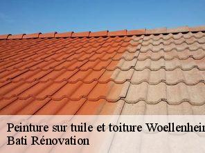 Peinture sur tuile et toiture  woellenheim-67370 Bati Rénovation