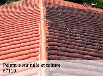 Peinture sur tuile et toiture  67110