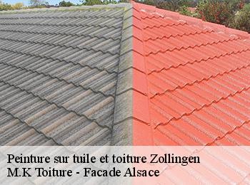 Peinture sur tuile et toiture