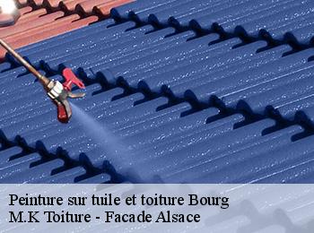 Peinture sur tuile et toiture  bourg-67420 M.K Toiture - Facade Alsace