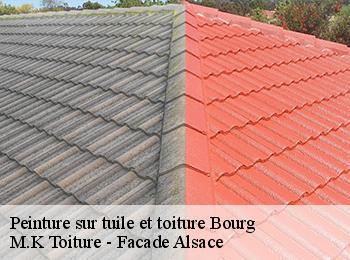 Peinture sur tuile et toiture