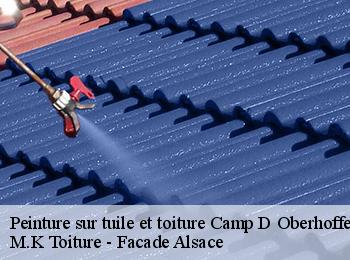 Peinture sur tuile et toiture  camp-d-oberhoffen-67240 M.K Toiture - Facade Alsace