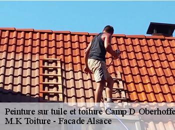 Peinture sur tuile et toiture  67240