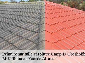 Peinture sur tuile et toiture