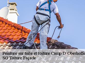 Peinture sur tuile et toiture