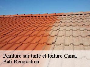 Peinture sur tuile et toiture  canal-67120 Bati Rénovation