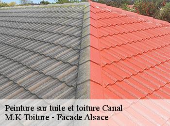 Peinture sur tuile et toiture