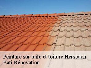 Peinture sur tuile et toiture  hersbach-67130 Bati Rénovation