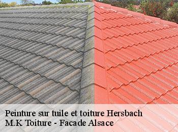 Peinture sur tuile et toiture