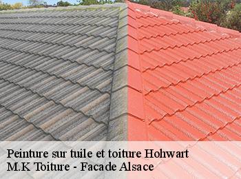 Peinture sur tuile et toiture