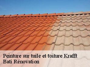 Peinture sur tuile et toiture krafft-67150 Bati Rénovation