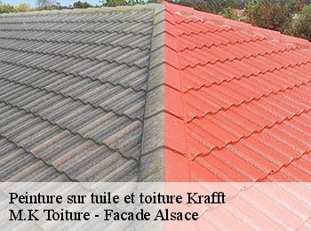 Peinture sur tuile et toiture