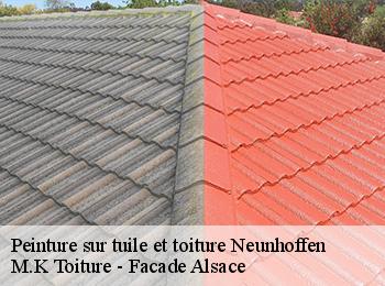 Peinture sur tuile et toiture