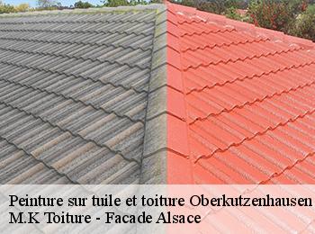 Peinture sur tuile et toiture