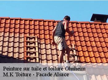 Peinture sur tuile et toiture  67640