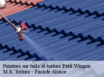 Peinture sur tuile et toiture  petit-wingen-67510 M.K Toiture - Facade Alsace