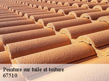 Peinture sur tuile et toiture 67510