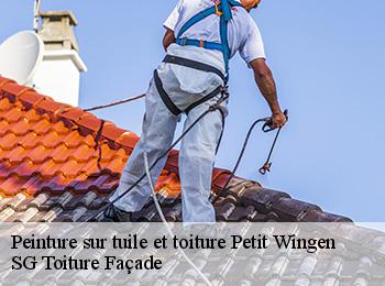 Peinture sur tuile et toiture