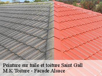 Peinture sur tuile et toiture