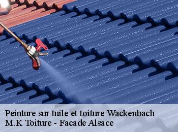 Peinture sur tuile et toiture  wackenbach-67130 M.K Toiture - Facade Alsace